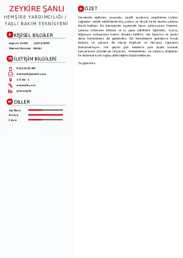 Hasta ve Yaşlı Bakım Elemanı Cv Örnekleri cv indir